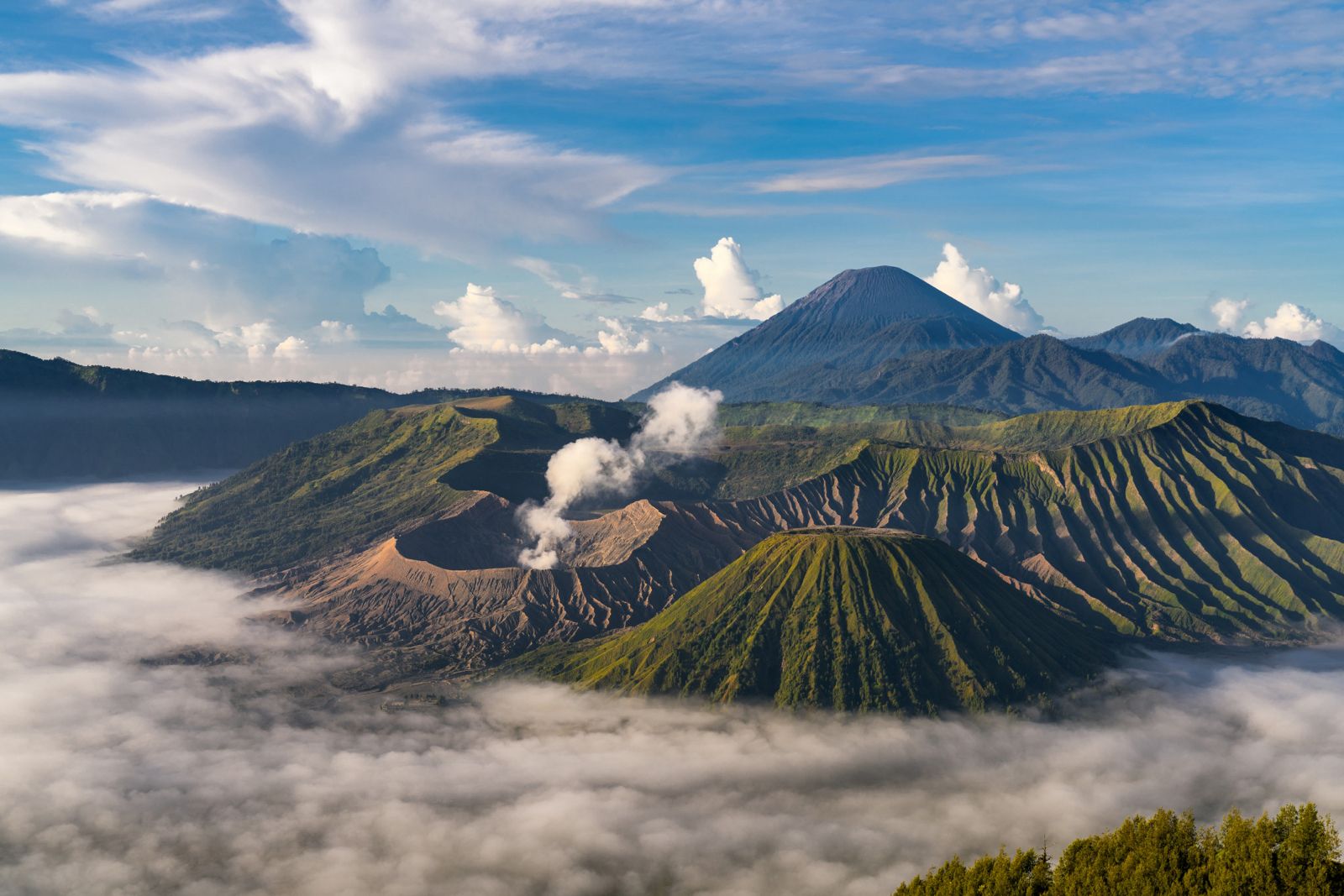 Malang