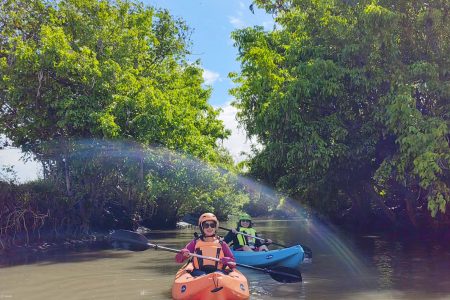 Carbon-Neutral Travel